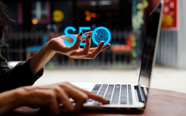 SEO Service VGrow Digital